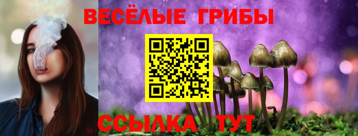 Курчалой  Псилоцибиновые грибы мицелий  Вход с VPN  Псилоцибиновые грибы прущие грибы 
