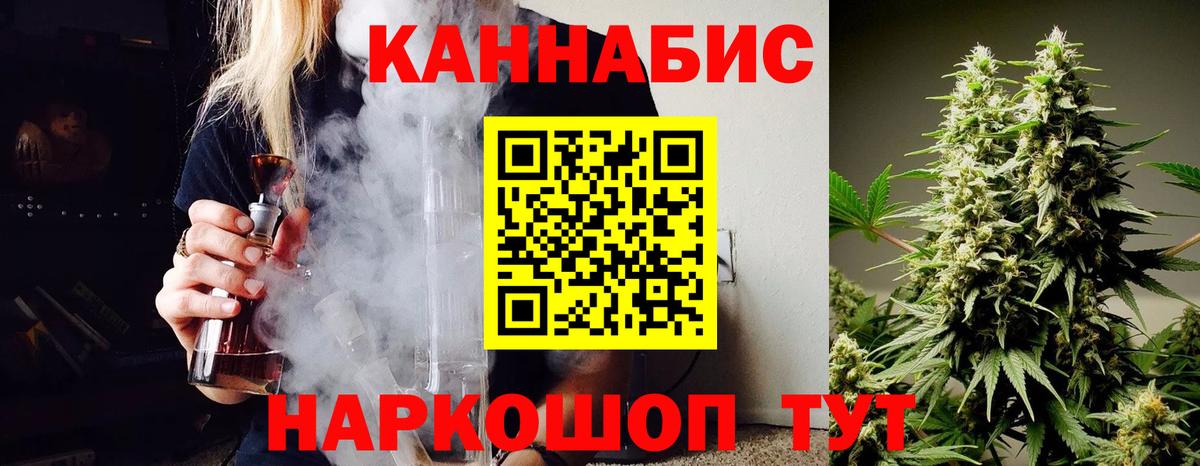 Каннабис индика Курчалой